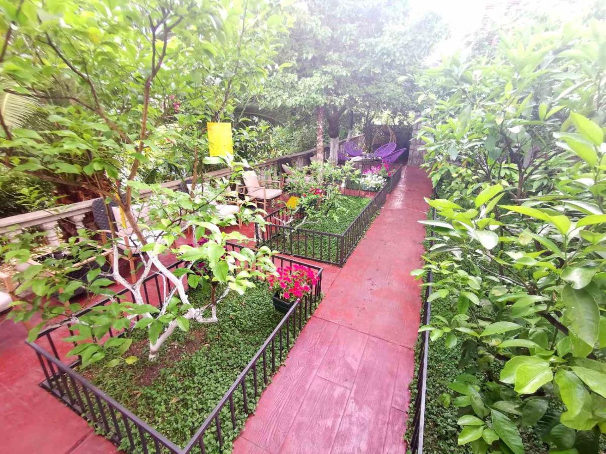 Hotel Alkima Котор Екстер'єр фото